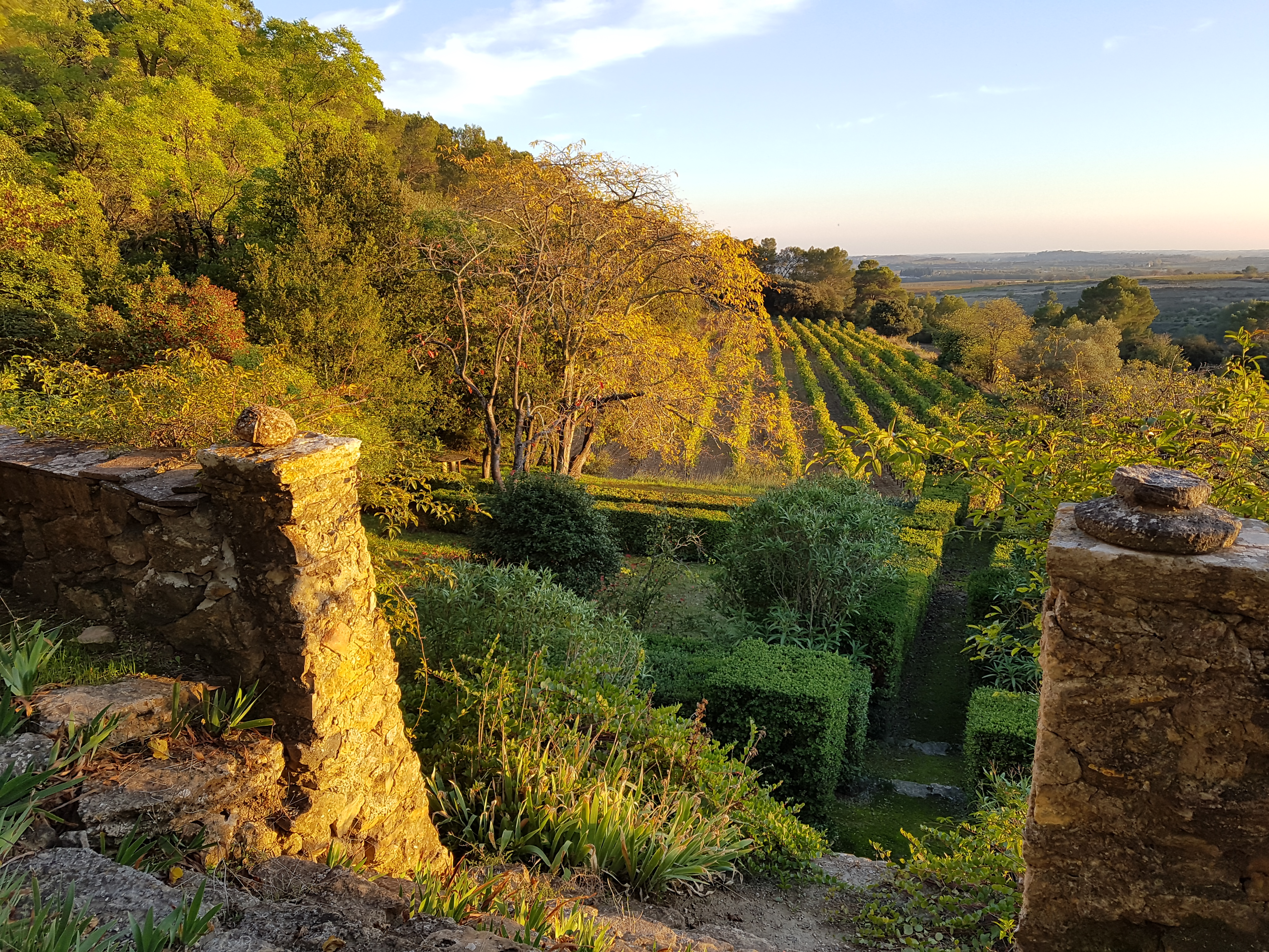 vin du languedoc domaine verena wyss