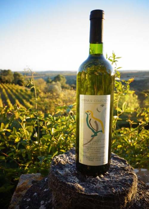 vin blanc viognier bio igp languedoc france