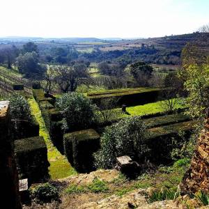 domaine_bio_vue_hiver