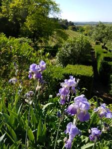 Printemps fleuri